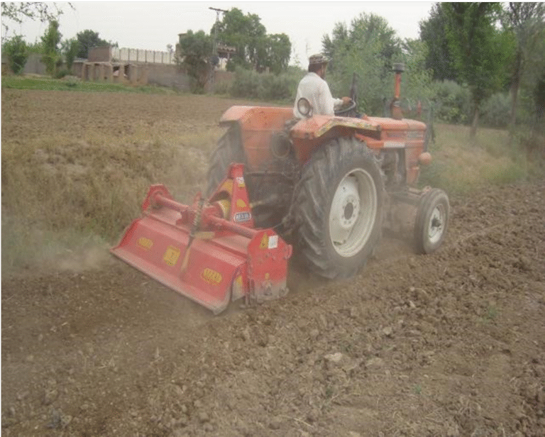 Agriculture and Forest